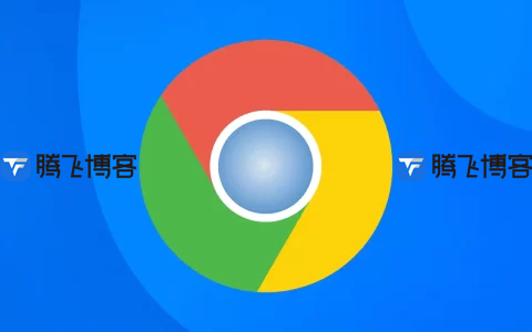 Google Chrome v121.0 谷歌Chrome浏览器，便携增强版