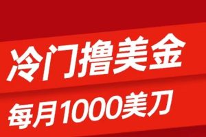 冷门撸美金项目：只需无脑发帖子，每月1000刀，小白轻松掌握